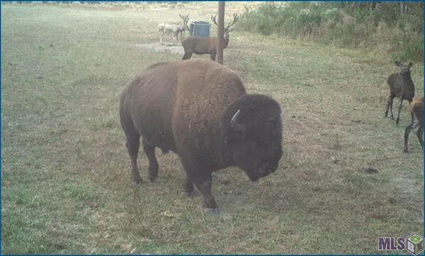 $14,100,000 | 4240-jana 4240-jana Lane, Perkinston, MS 39573