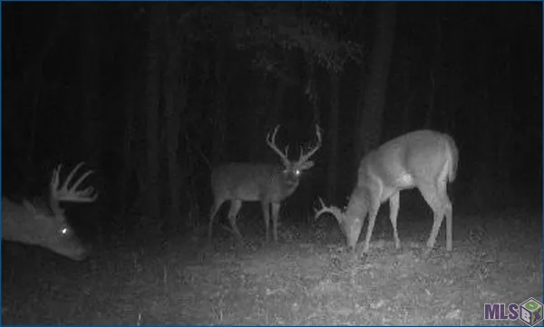 $14,100,000 | 4240-jana 4240-jana Lane, Perkinston, MS 39573