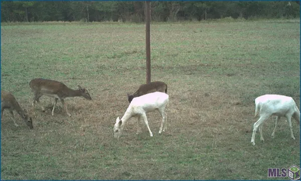 $14,100,000 | 4240-jana 4240-jana Lane, Perkinston, MS 39573