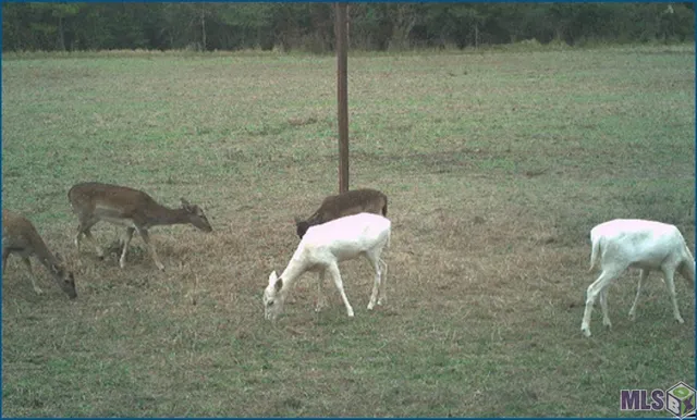 $14,100,000 | 4240-jana 4240-jana Lane, Perkinston, MS 39573