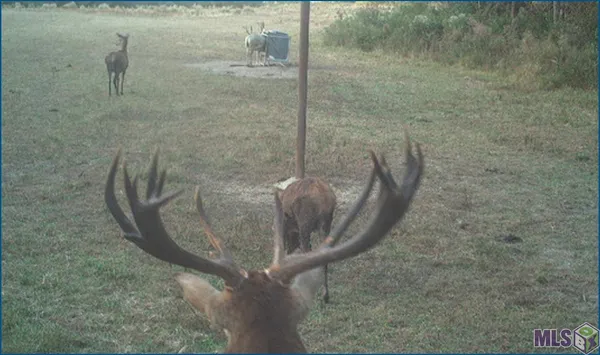 $14,100,000 | 4240-jana 4240-jana Lane, Perkinston, MS 39573