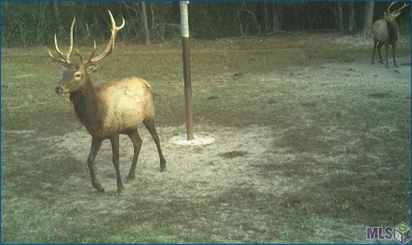 $14,100,000 | 4240-jana 4240-jana Lane, Perkinston, MS 39573