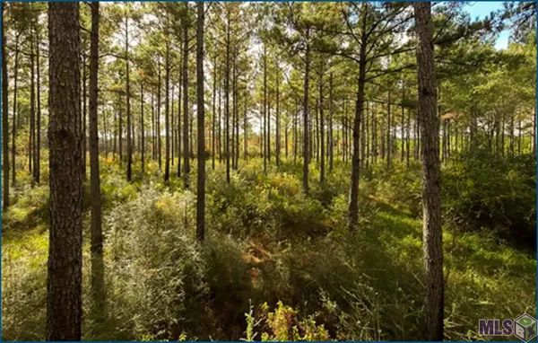 $14,100,000 | 4240-jana 4240-jana Lane, Perkinston, MS 39573