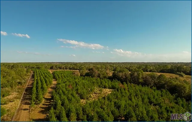 $14,100,000 | 4240-jana 4240-jana Lane, Perkinston, MS 39573