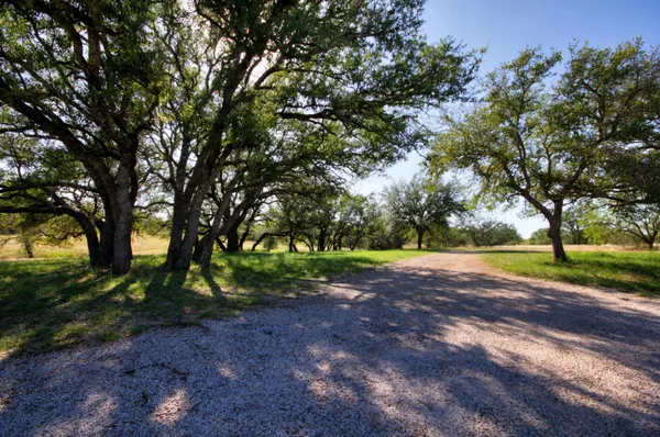 a view of outdoor space with tree