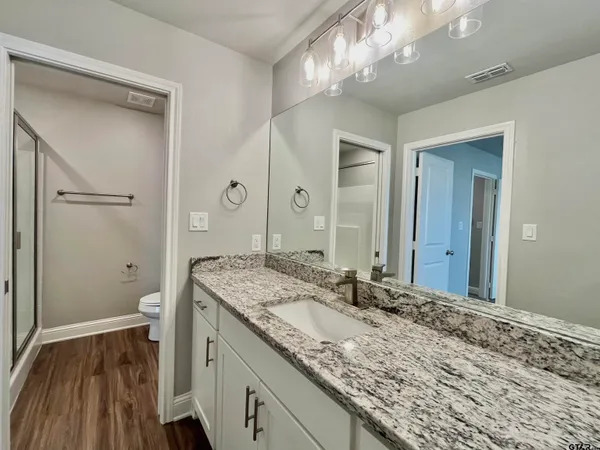 a bathroom with a granite countertop sink a toilet and a large mirror