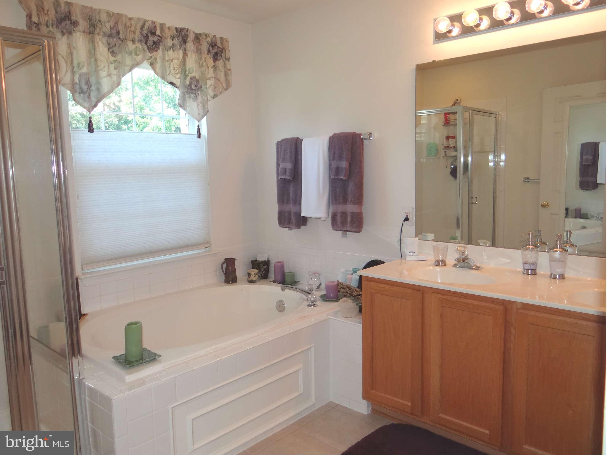 4629 Ripley Manor Terrace Olney, MD 20832 - Photo 25 of 27 Master Bath second view