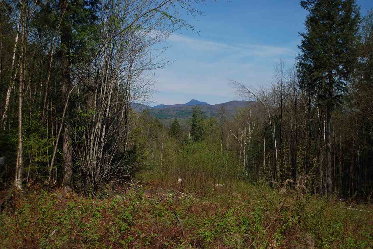 52 South Hill Road Moretown, VT 05660 - Photo 1 of 28