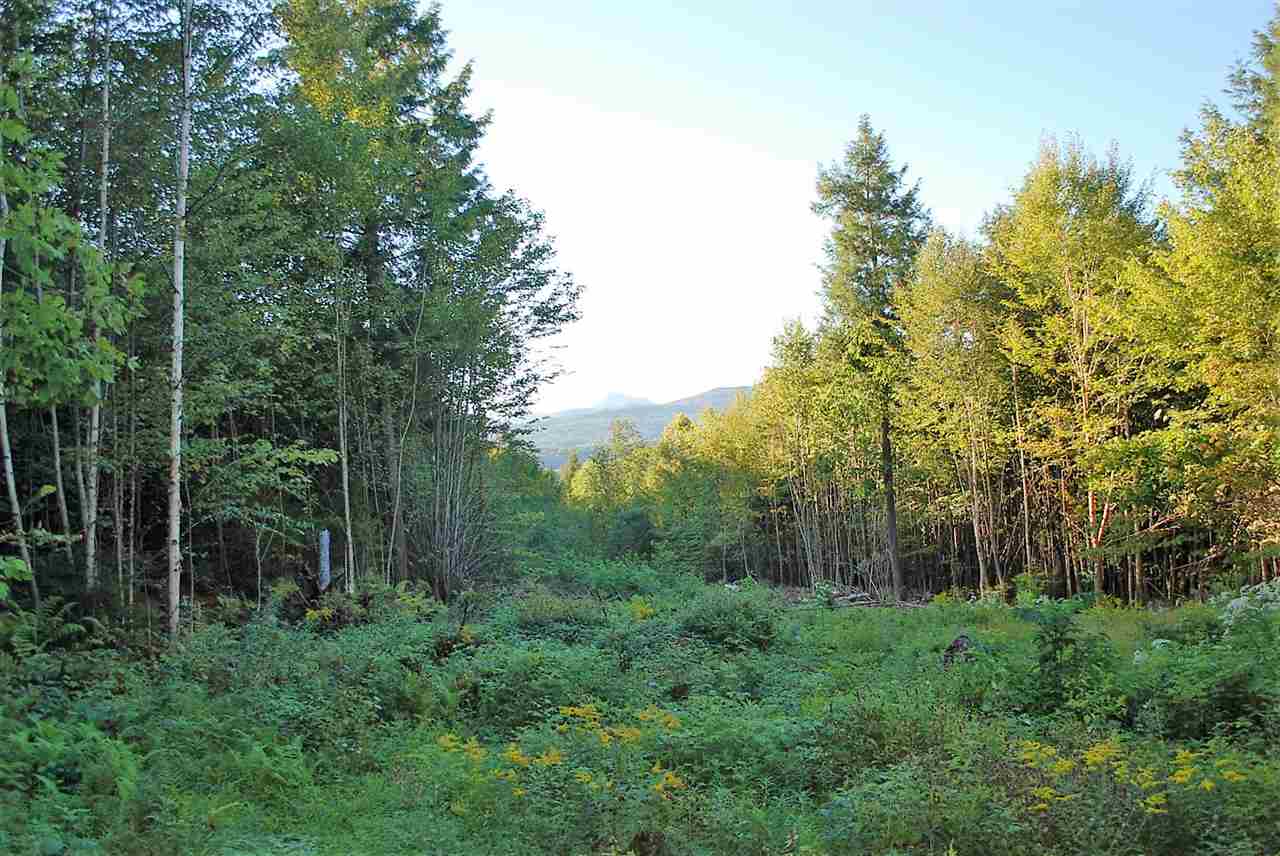 52 South Hill Road Moretown, VT 05660 - Photo 12 of 28