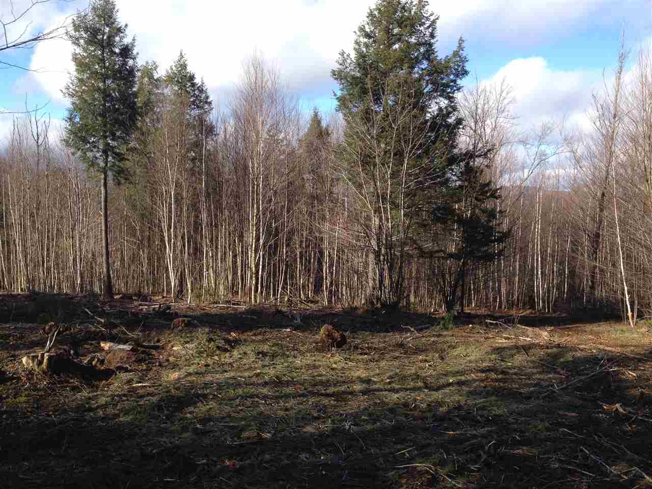 52 South Hill Road Moretown, VT 05660 - Photo 13 of 28