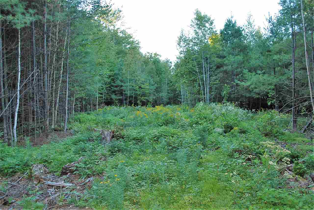 52 South Hill Road Moretown, VT 05660 - Photo 15 of 28