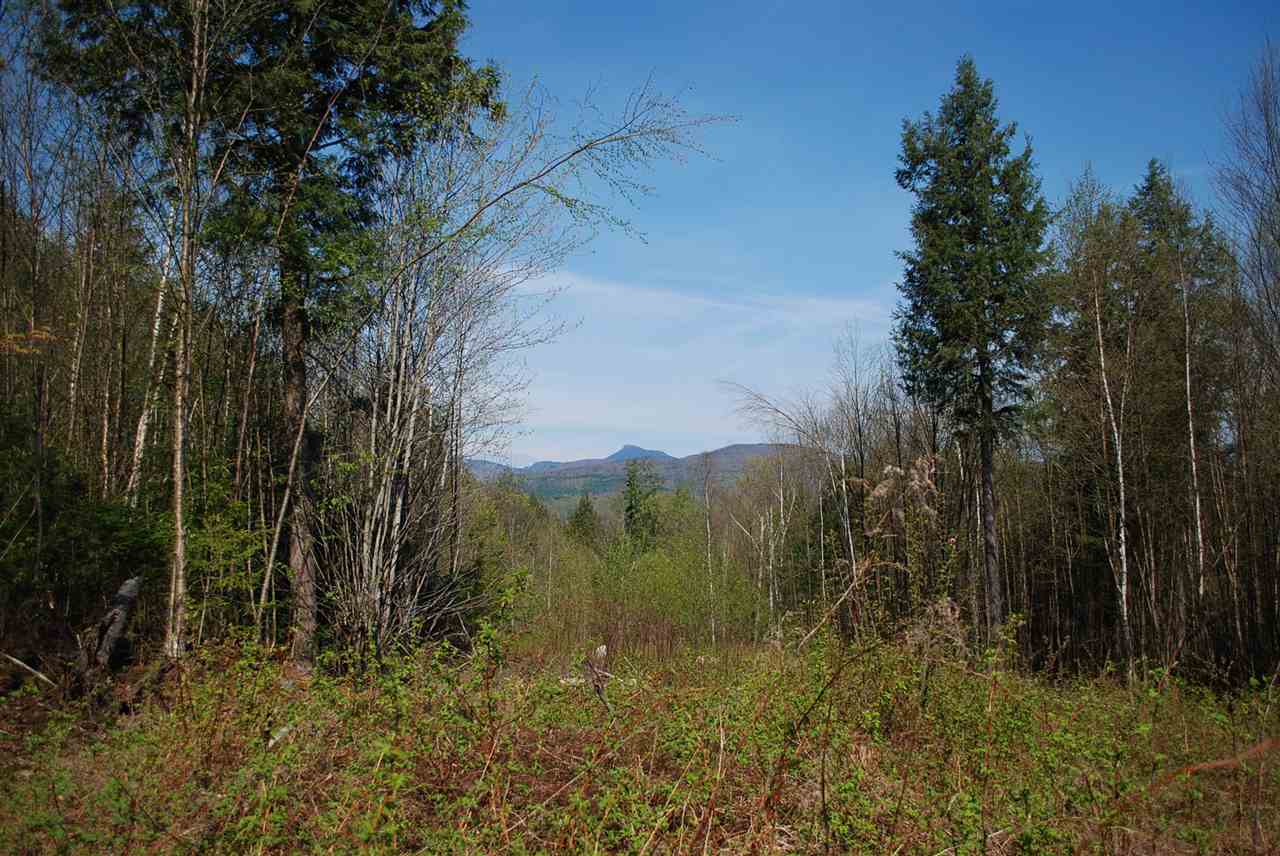 52 South Hill Road Moretown, VT 05660 - Photo 16 of 28