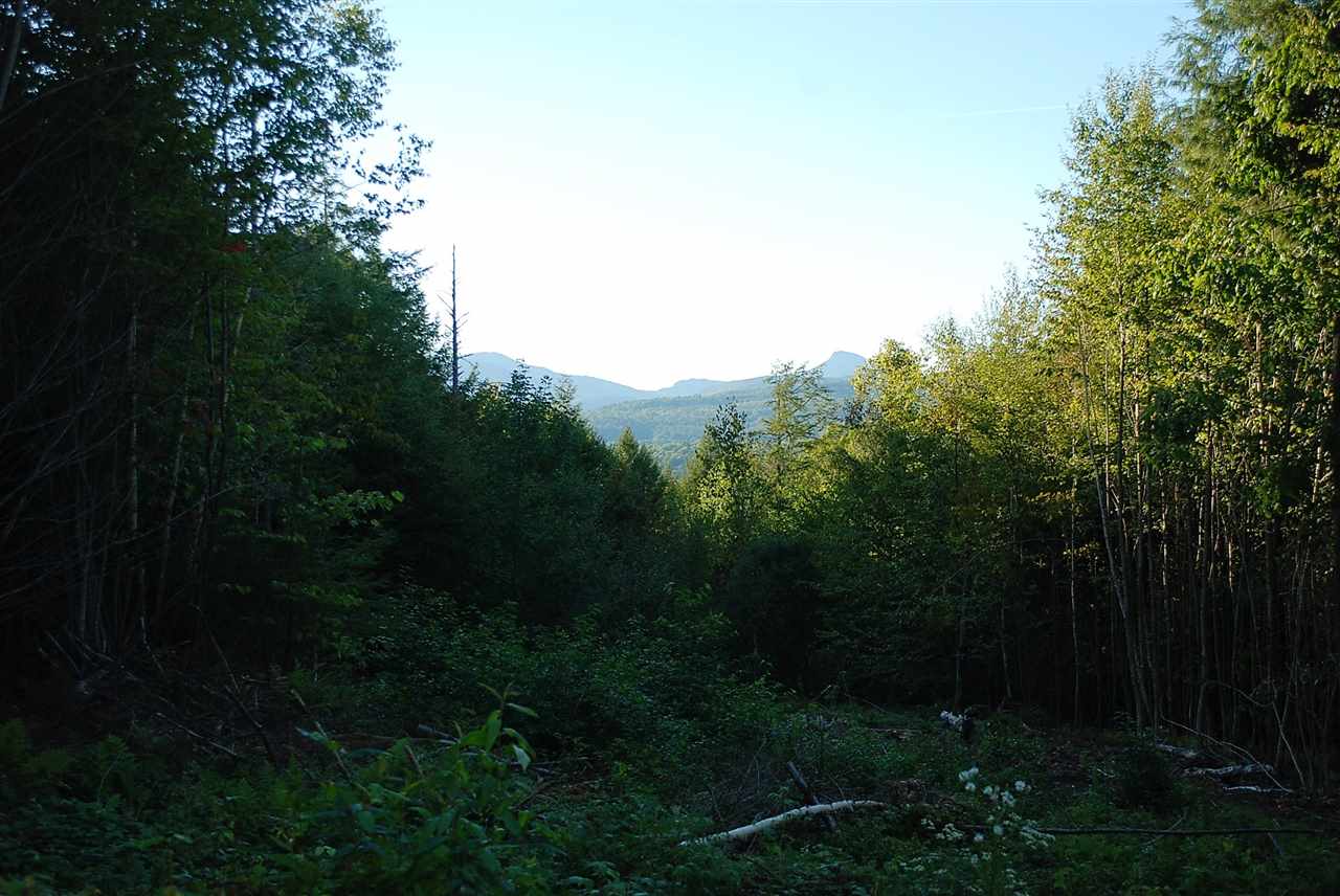 52 South Hill Road Moretown, VT 05660 - Photo 18 of 28