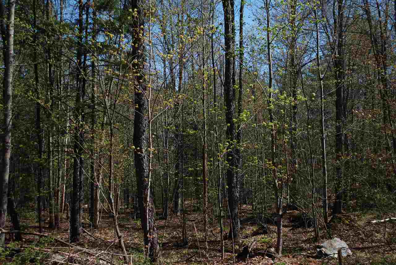 52 South Hill Road Moretown, VT 05660 - Photo 19 of 28