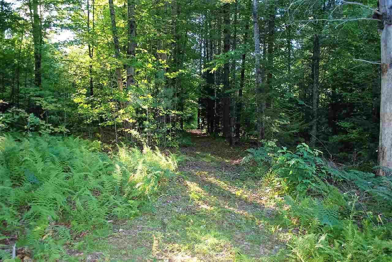 52 South Hill Road Moretown, VT 05660 - Photo 20 of 28