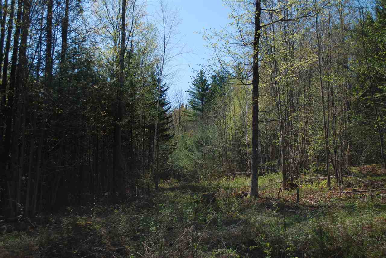 52 South Hill Road Moretown, VT 05660 - Photo 23 of 28