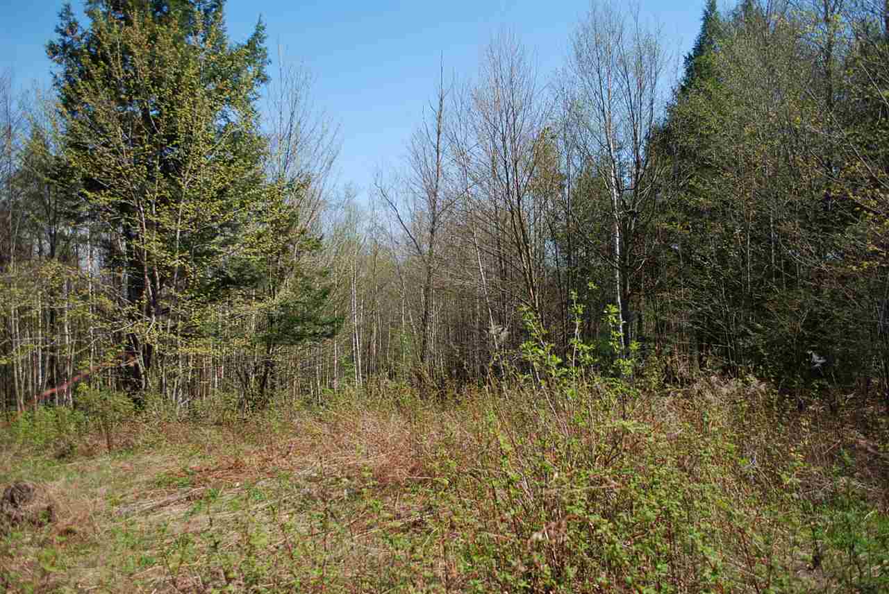 52 South Hill Road Moretown, VT 05660 - Photo 24 of 28