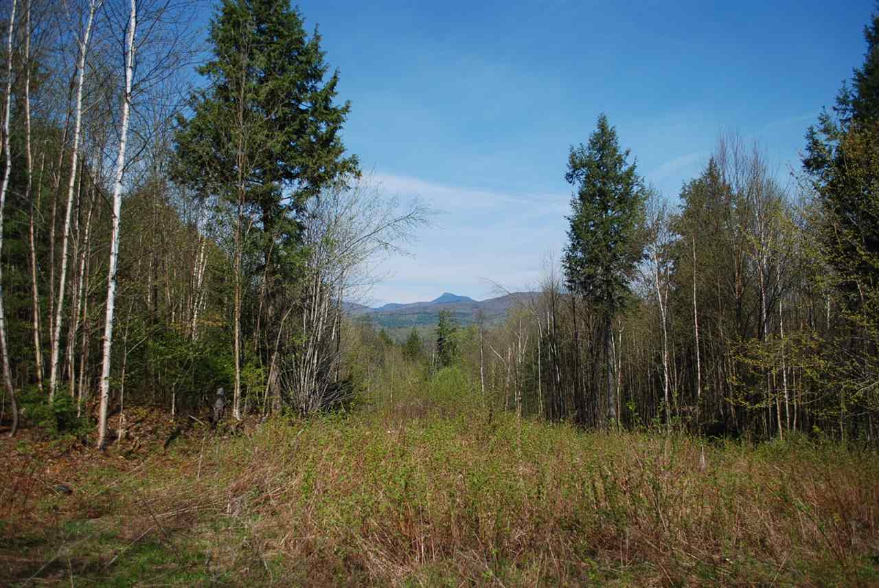 52 South Hill Road Moretown, VT 05660 - Photo 25 of 28