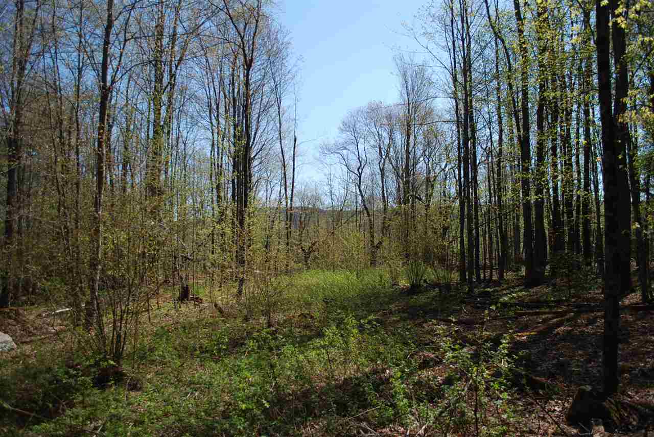 52 South Hill Road Moretown, VT 05660 - Photo 26 of 28