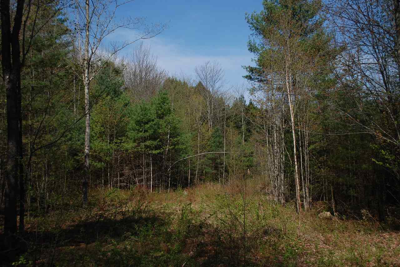 52 South Hill Road Moretown, VT 05660 - Photo 27 of 28