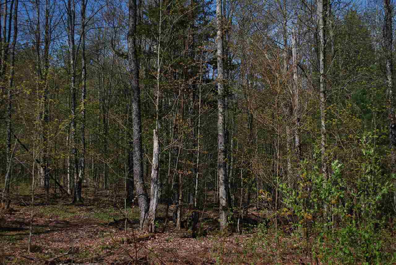 52 South Hill Road Moretown, VT 05660 - Photo 28 of 28