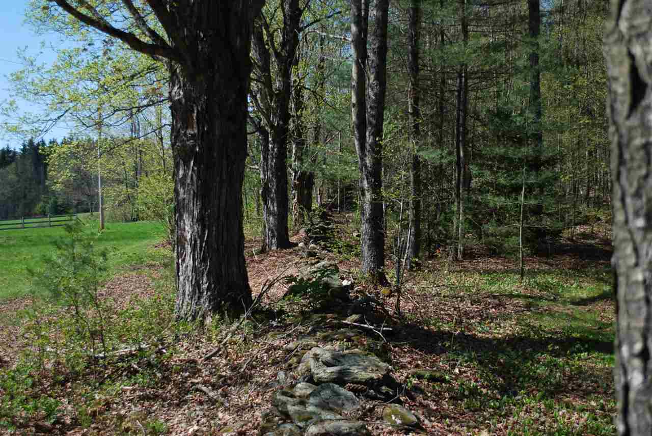 52 South Hill Road Moretown, VT 05660 - Photo 6 of 28