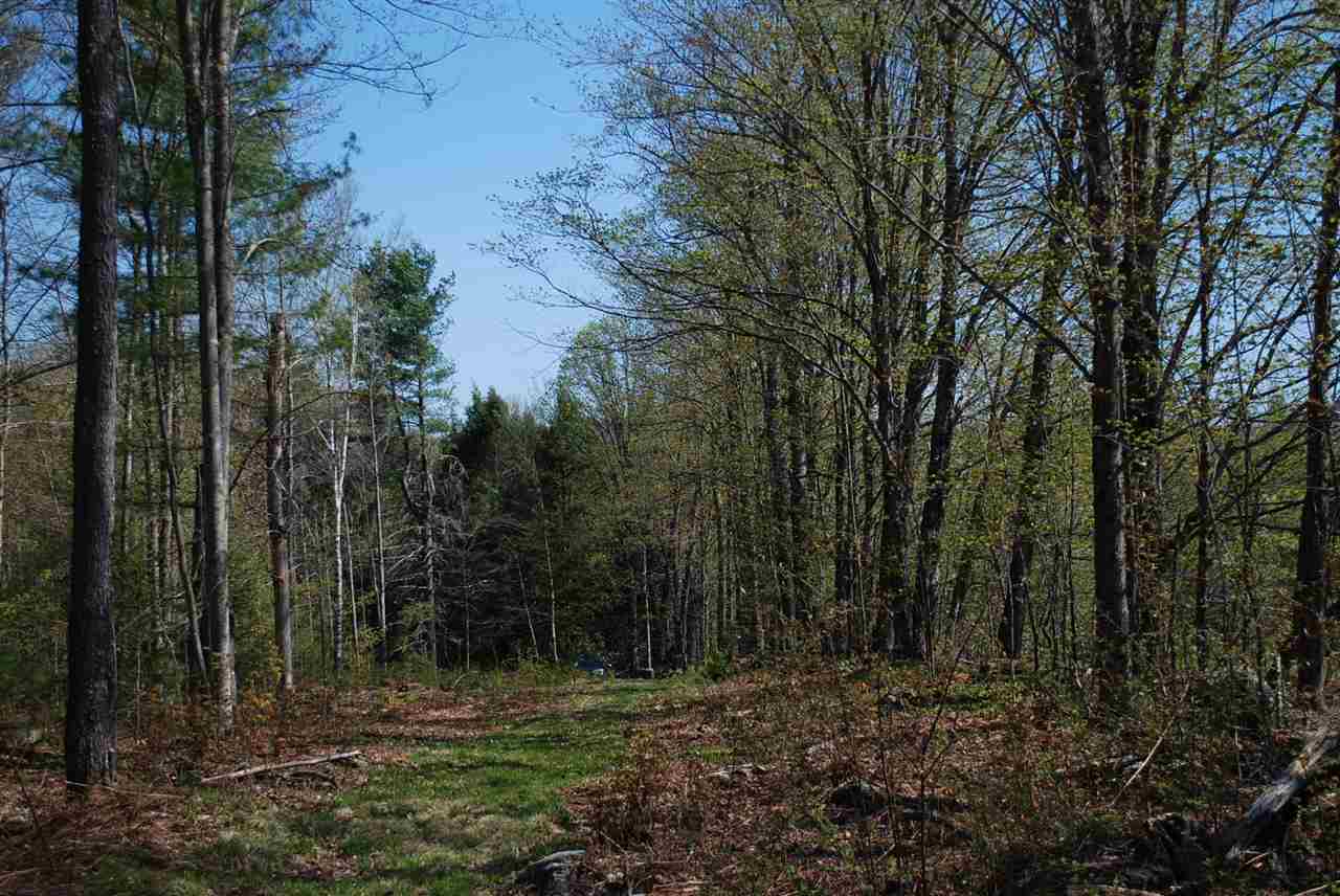 52 South Hill Road Moretown, VT 05660 - Photo 10 of 28