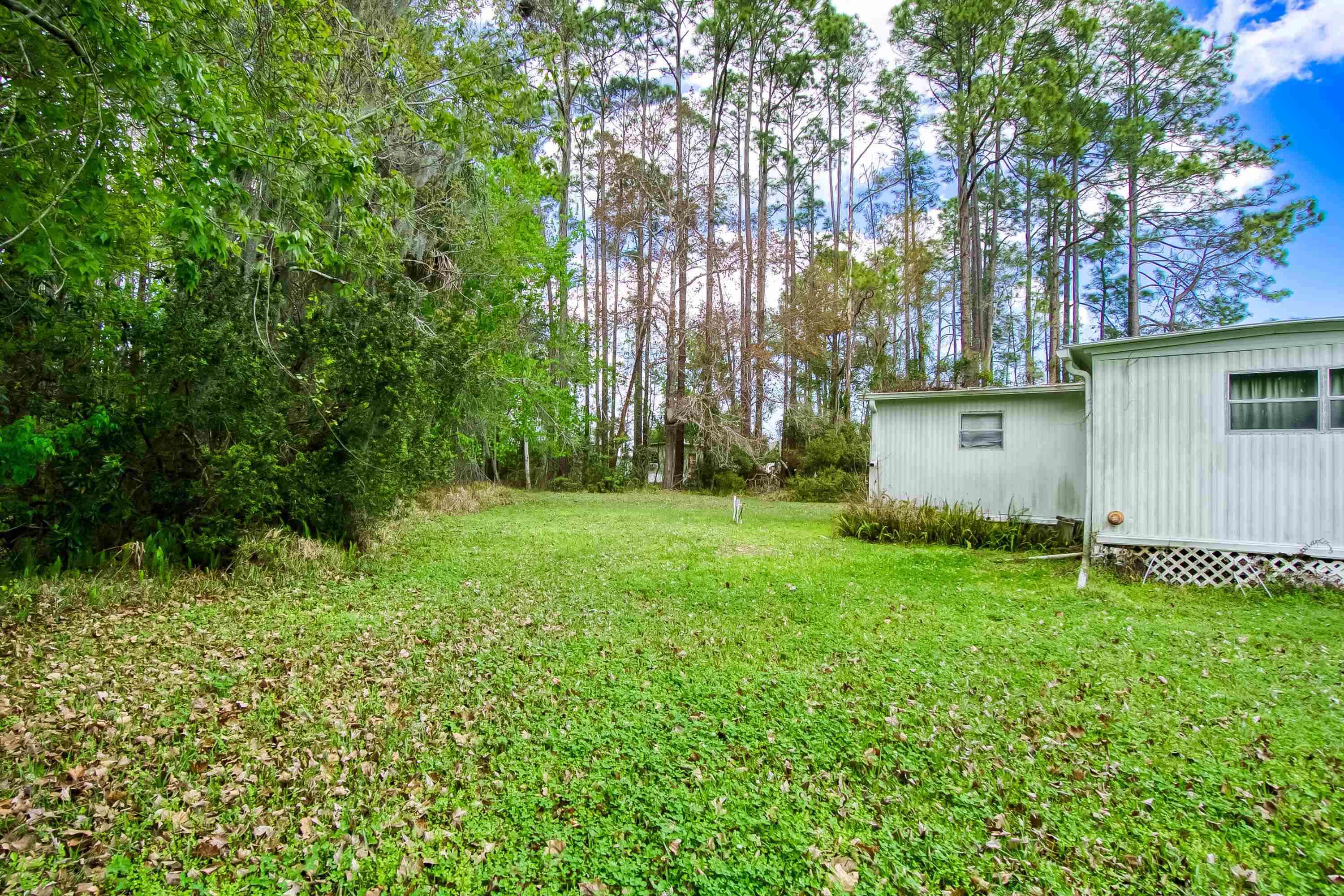2785 Stratton Boulevard St. Augustine, FL 32084 - Photo 15 of 25 a backyard of a house with plants and large trees
