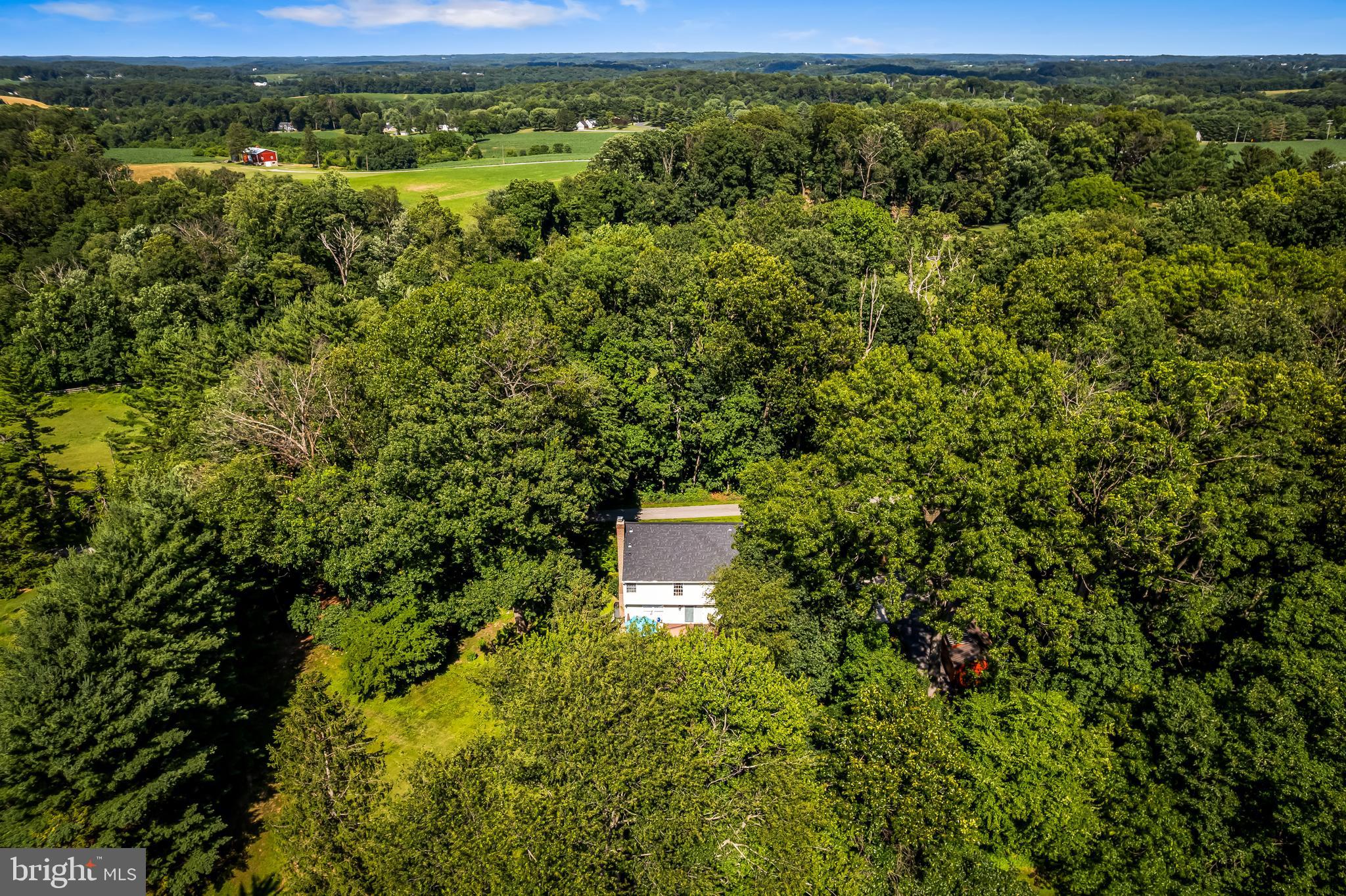 5026 Mt Carmel Road Hampstead, MD 21074 - Photo 54 of 57 a view of a forest with a street