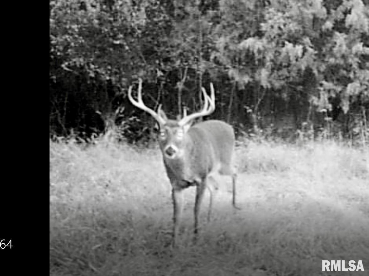 0 Tom Dick Hill Road Stonefort, IL 62987 - Photo 21 of 62