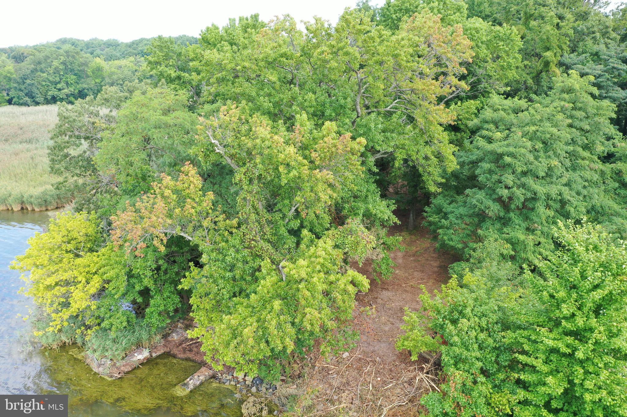 Cove Road Essex, MD 21221 - Photo 11 of 14