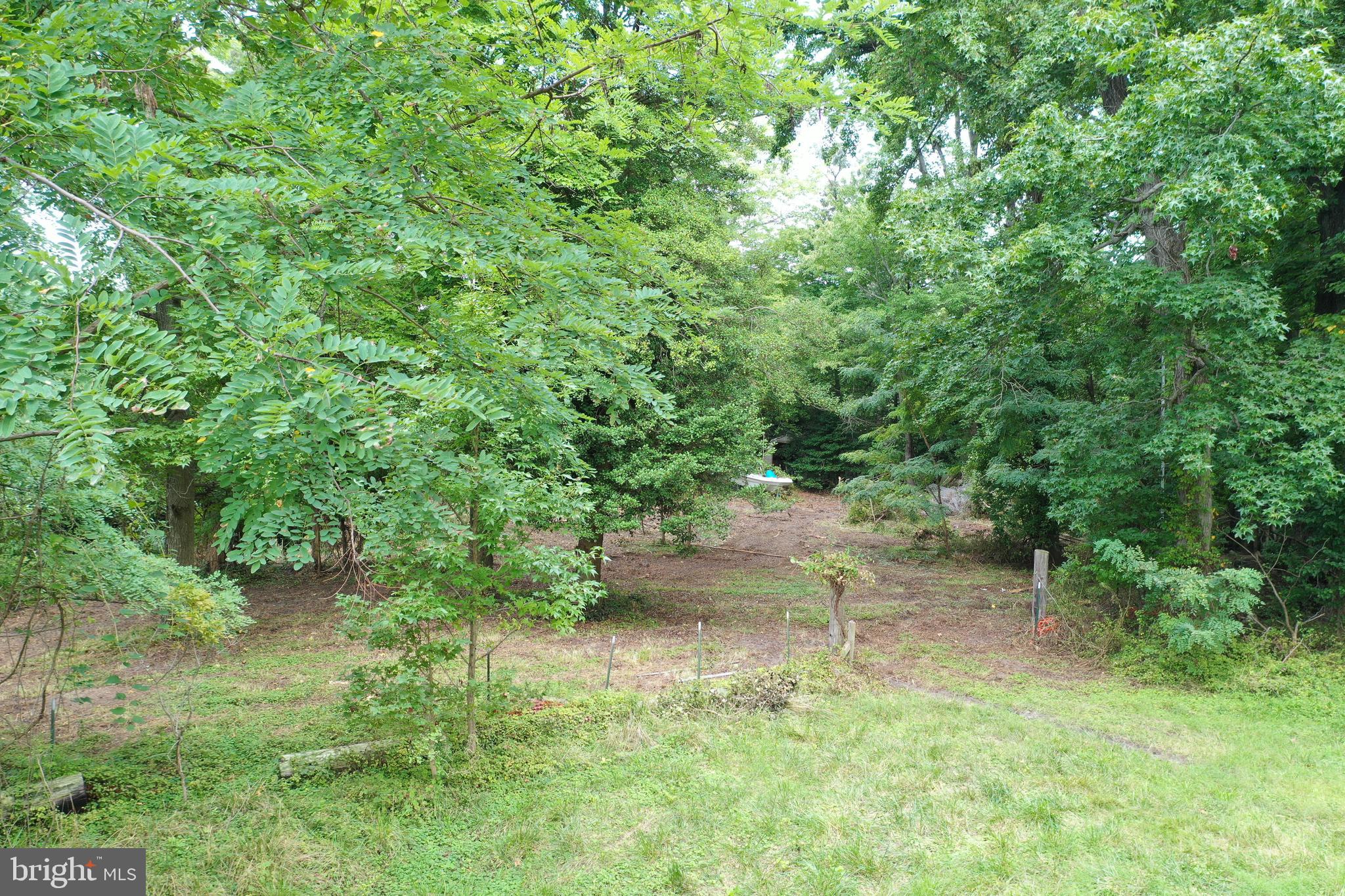 Cove Road Essex, MD 21221 - Photo 14 of 14