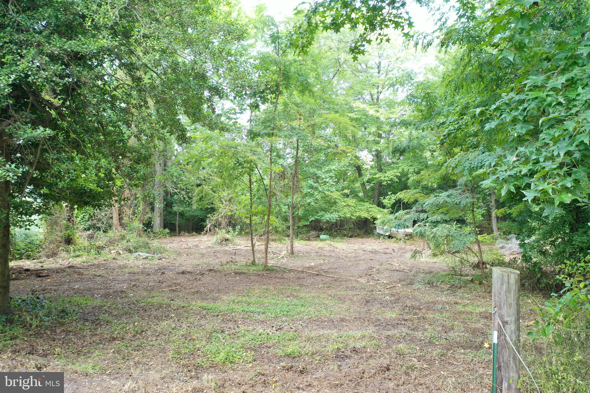 Cove Road Essex, MD 21221 - Photo 6 of 14
