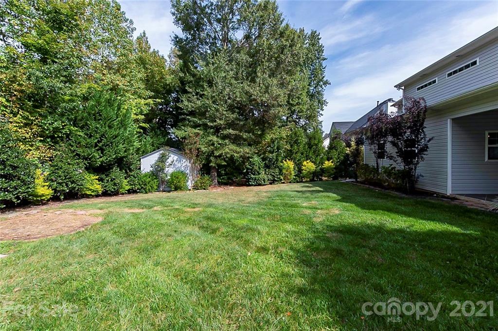 943 Knightsbridge Road Fort Mill, SC 29708 - Photo 20 of 21 a view of a backyard with large trees