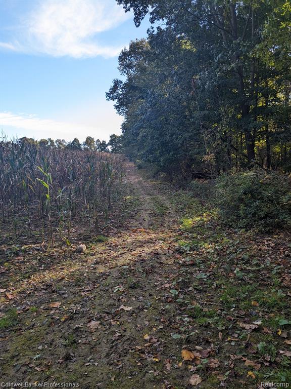 7168 Willis Road Brown City, MI 48416 - Photo 6 of 24