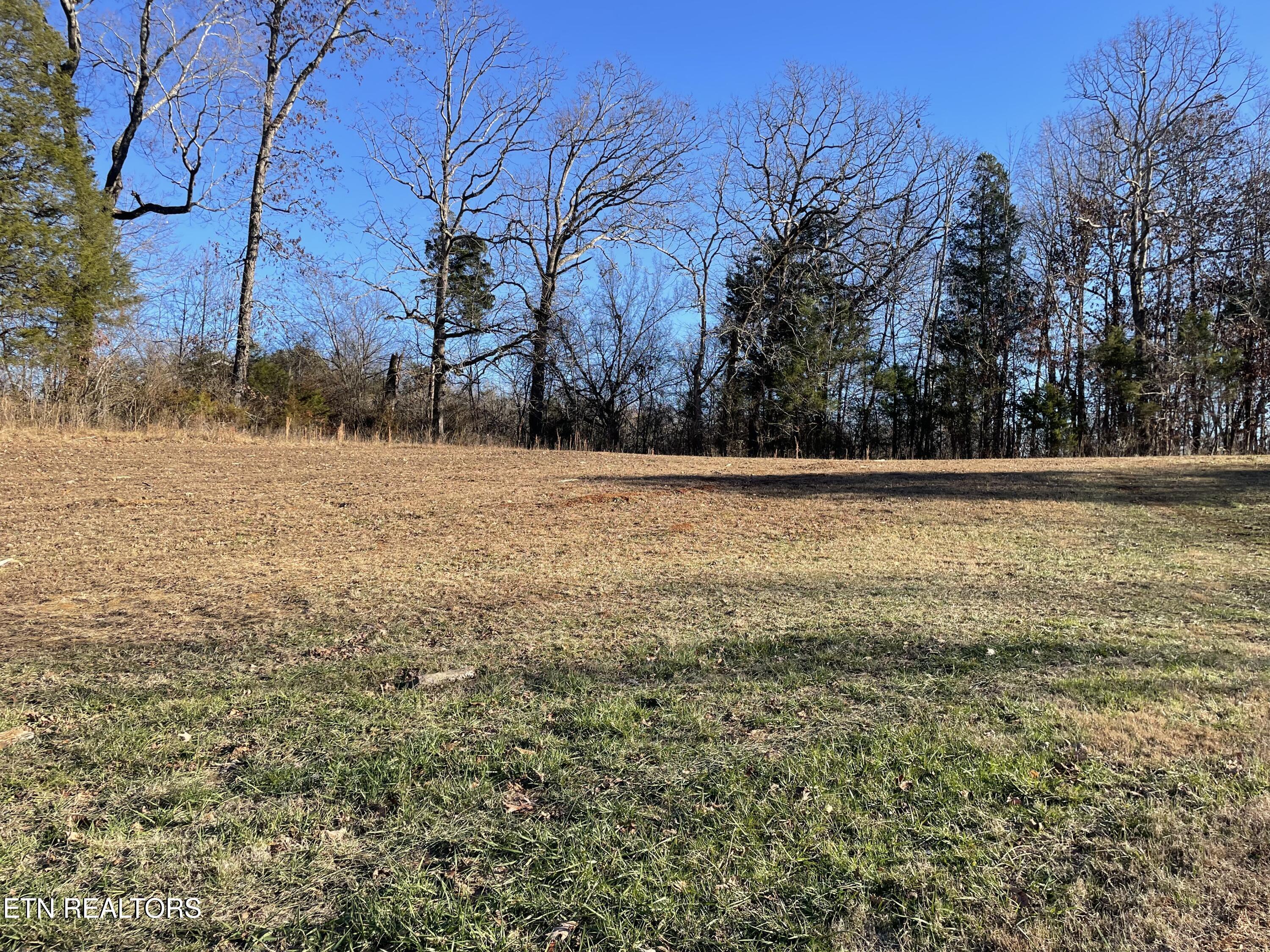 359 Shadows Lawn Drive Athens, TN 37303 - Photo 4 of 6 The davis place Lot image 1