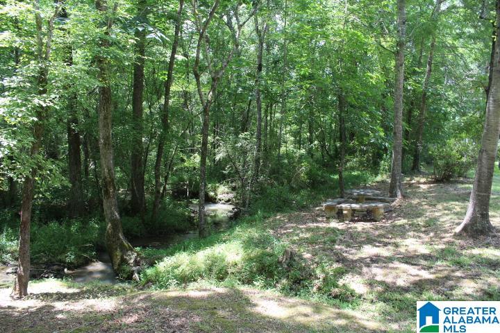 1640 Highway 77 Gadsden, AL 35907 - Photo 21 of 23