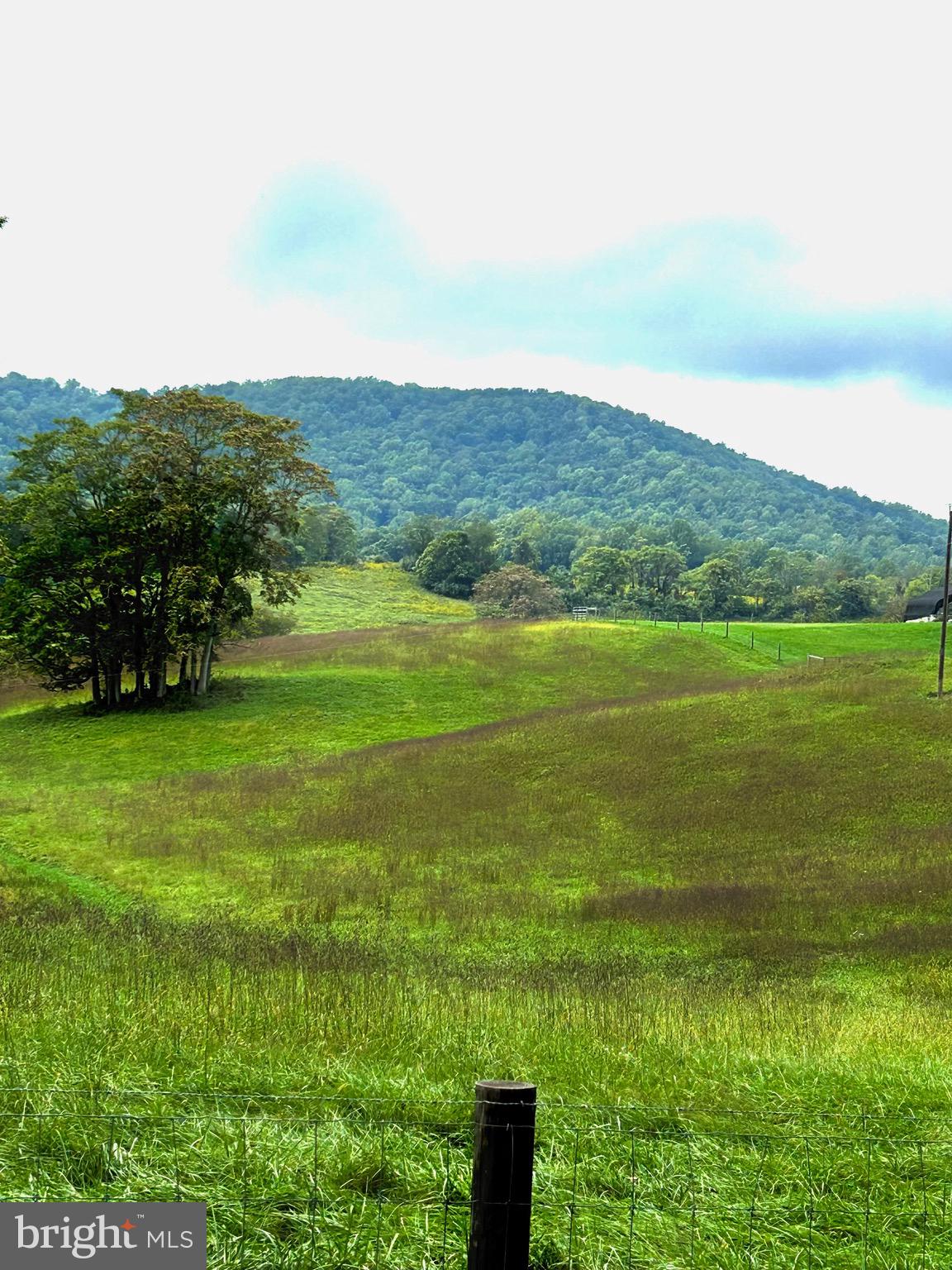 5095 Leeds Manor Road Hume, VA 22639 - Photo 14 of 15 Leeds Manor Rd View