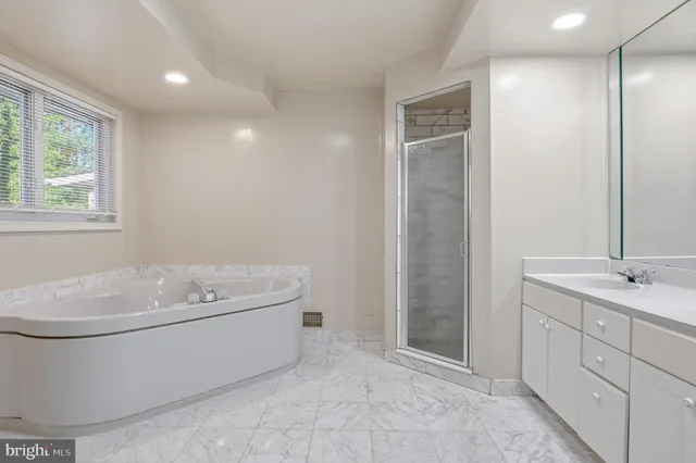 a view of a yard with plants and large trees