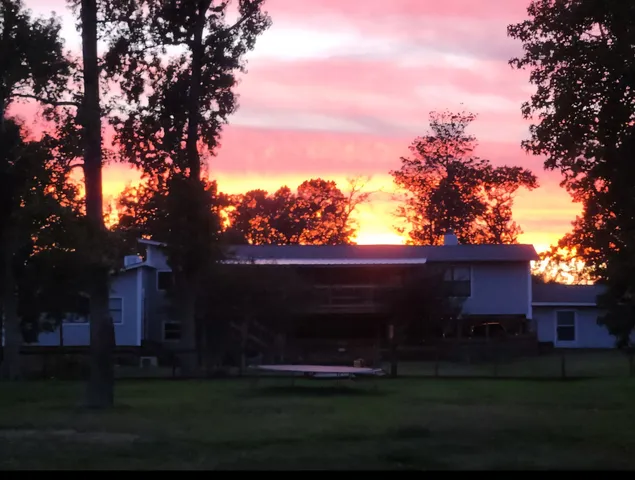 a view of a yard in front of a house with a large tree