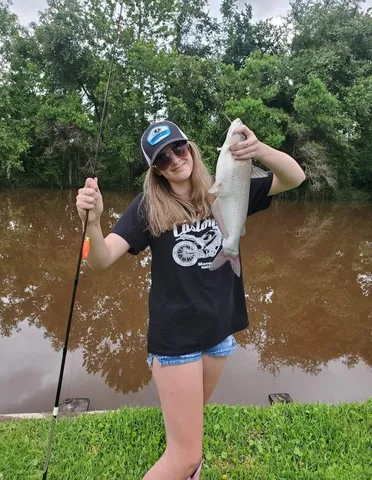 a view of a wooden floor and a lake view