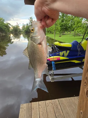 a view of a terrace with sitting area