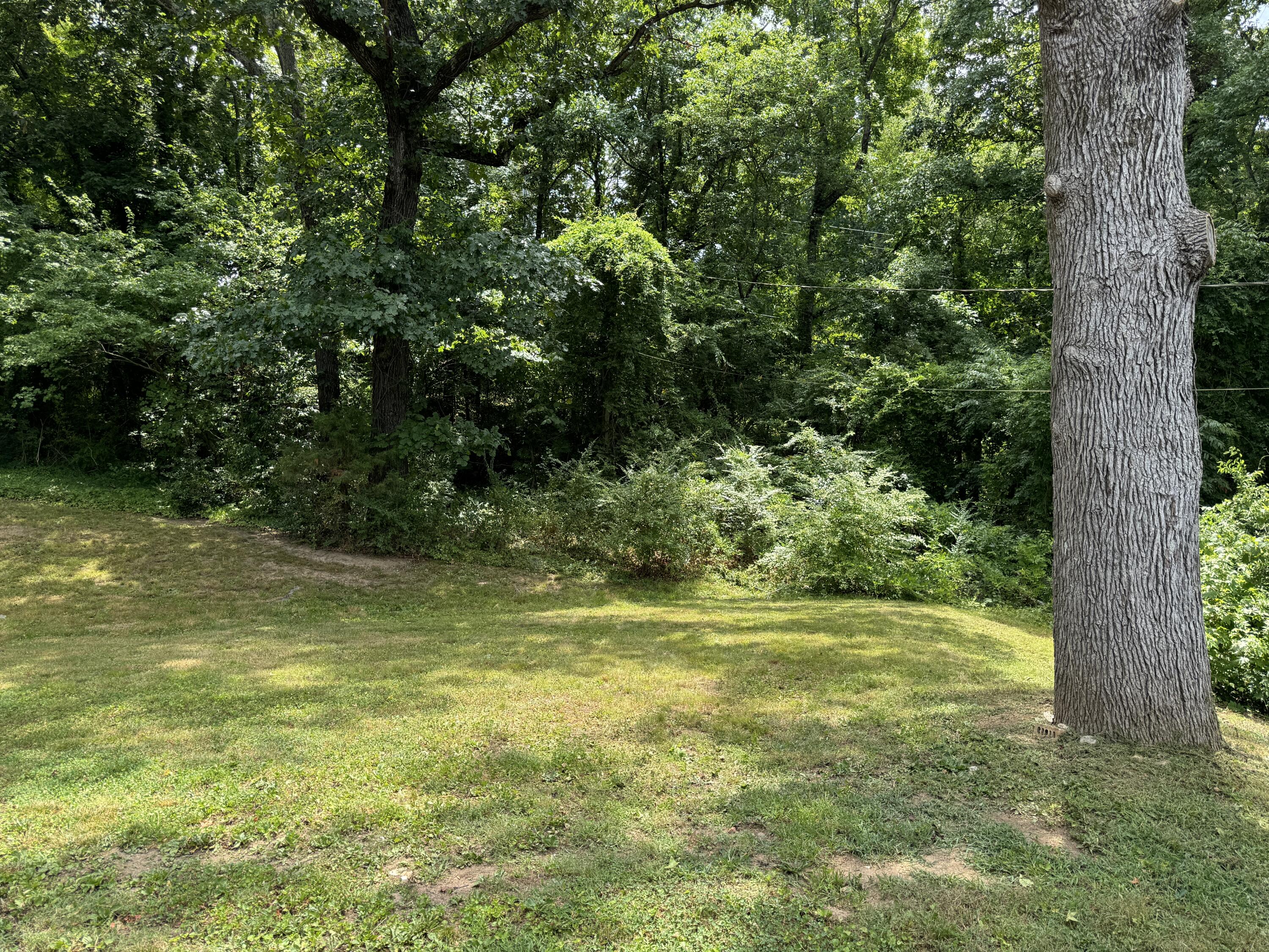 5056 Eller Road Chattanooga, TN 37416 - Photo 56 of 61 IMG_7311
