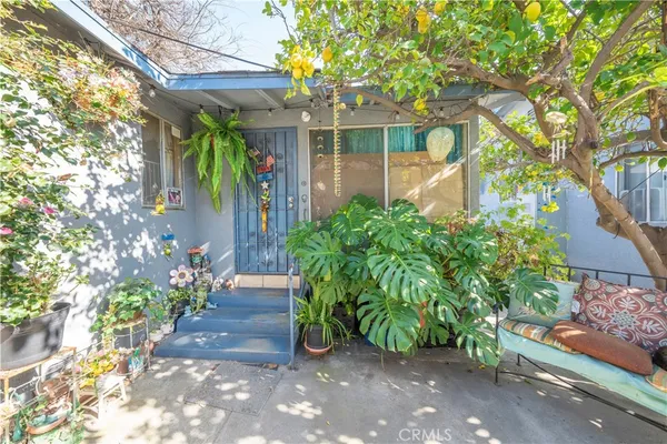 a view of a garden with plants