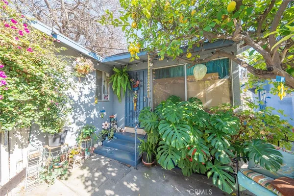 a view of a patio with couches plants and large trees