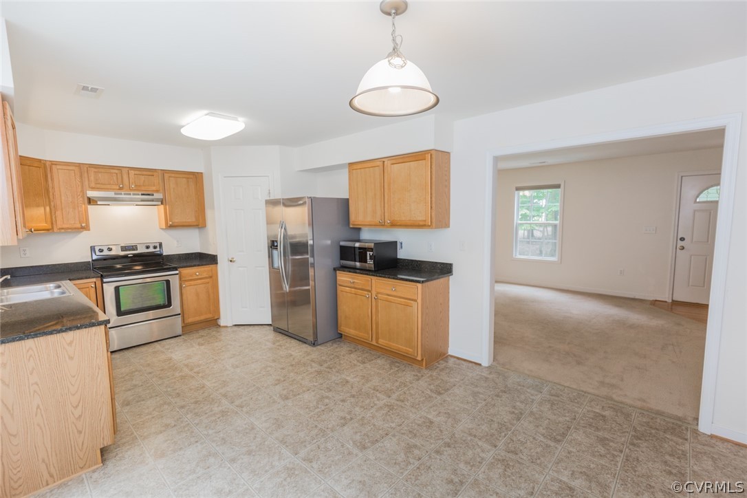 3385 Trenholm Road Powhatan, VA 23139 - Photo 10 of 30 Gallery Image 10