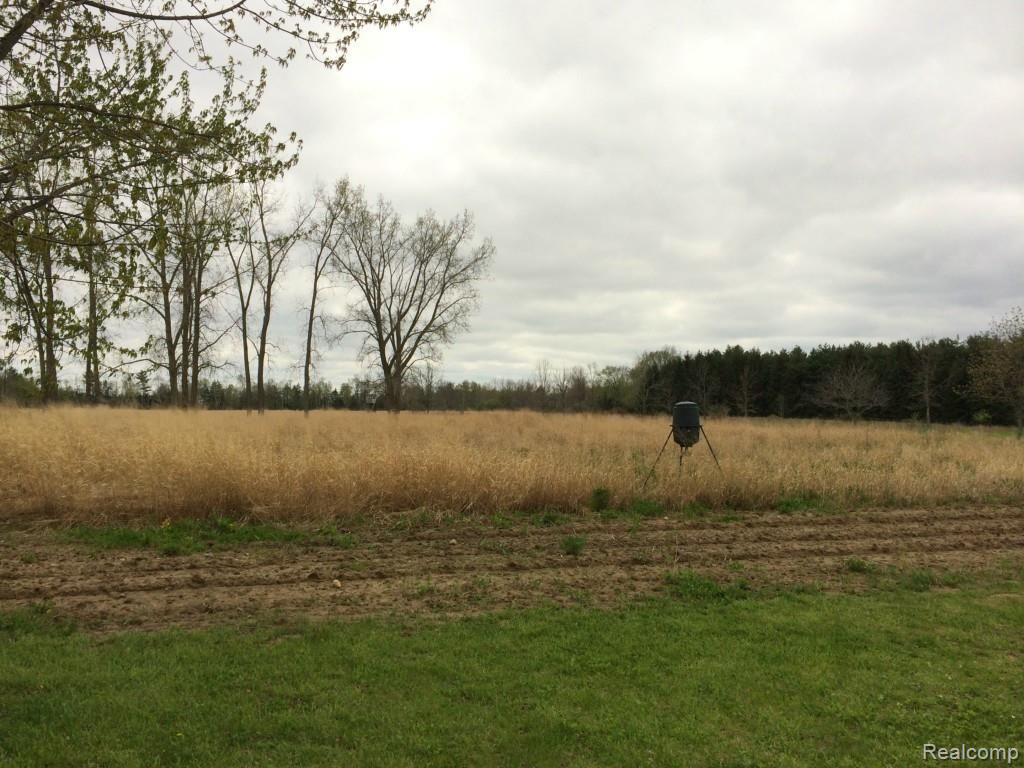 6580 Wellman Line Road Croswell, MI 48422 - Photo 23 of 28 IMG_3555.jpg