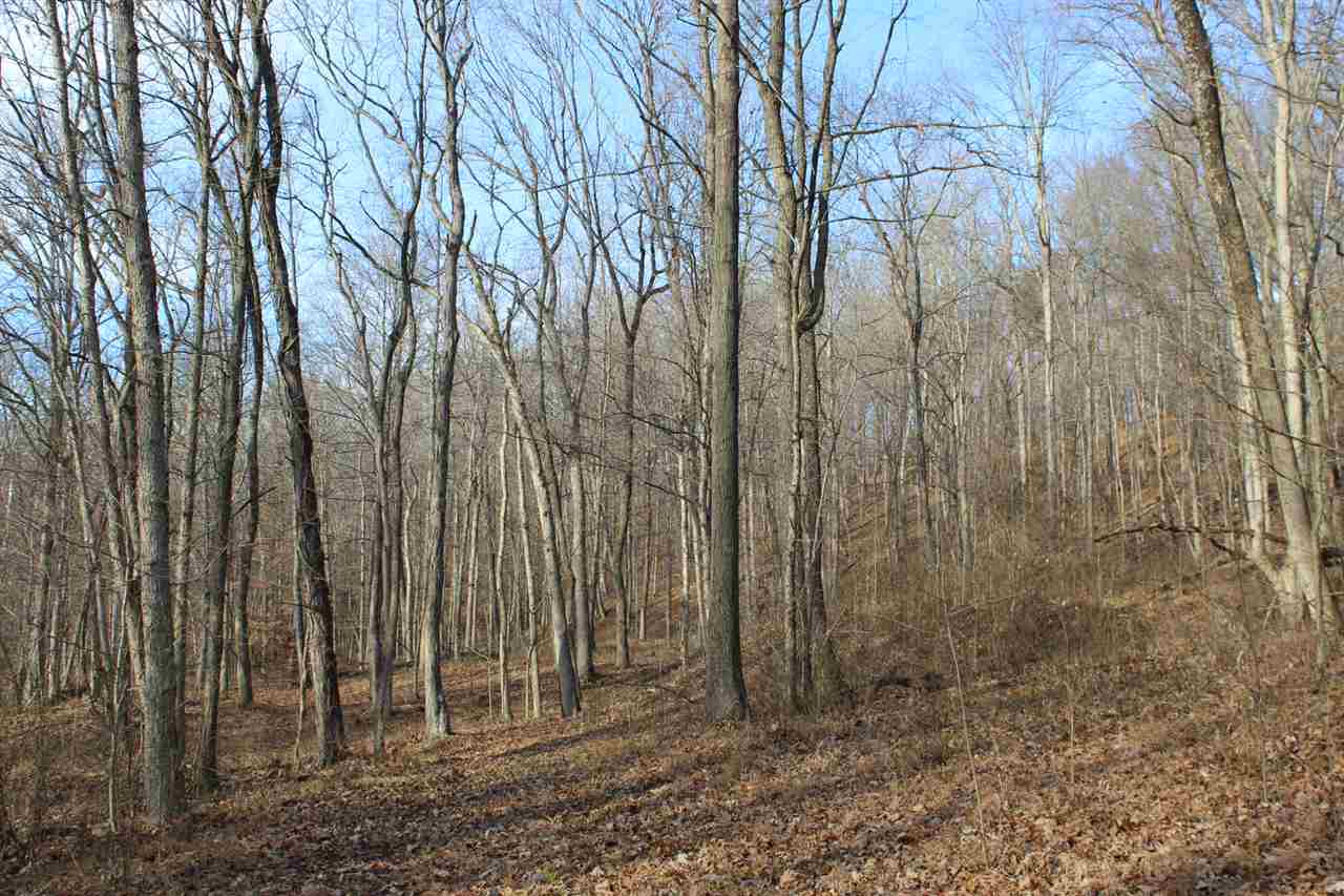 Deer Creek Road Cannelton, IN 47520 - Photo 4 of 5 Gallery Image 4