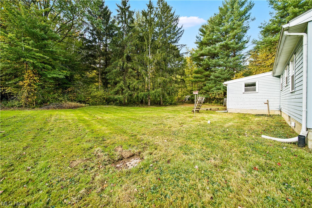 1168 Garrison Road Ashtabula, OH 44004 - Photo 11 of 35 View of yard