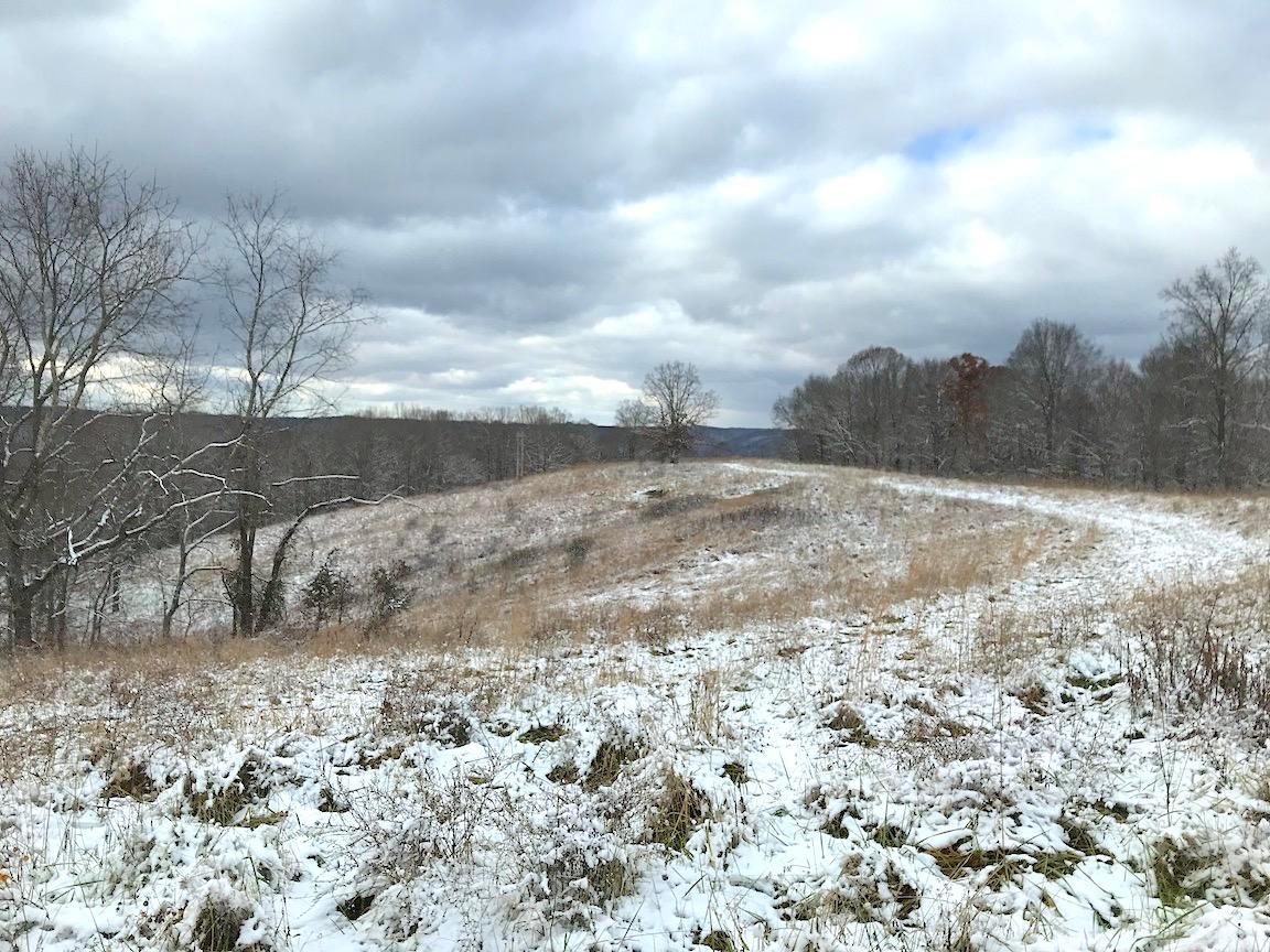 0 Brohard Road Jackson, OH 45640 - Photo 17 of 50
